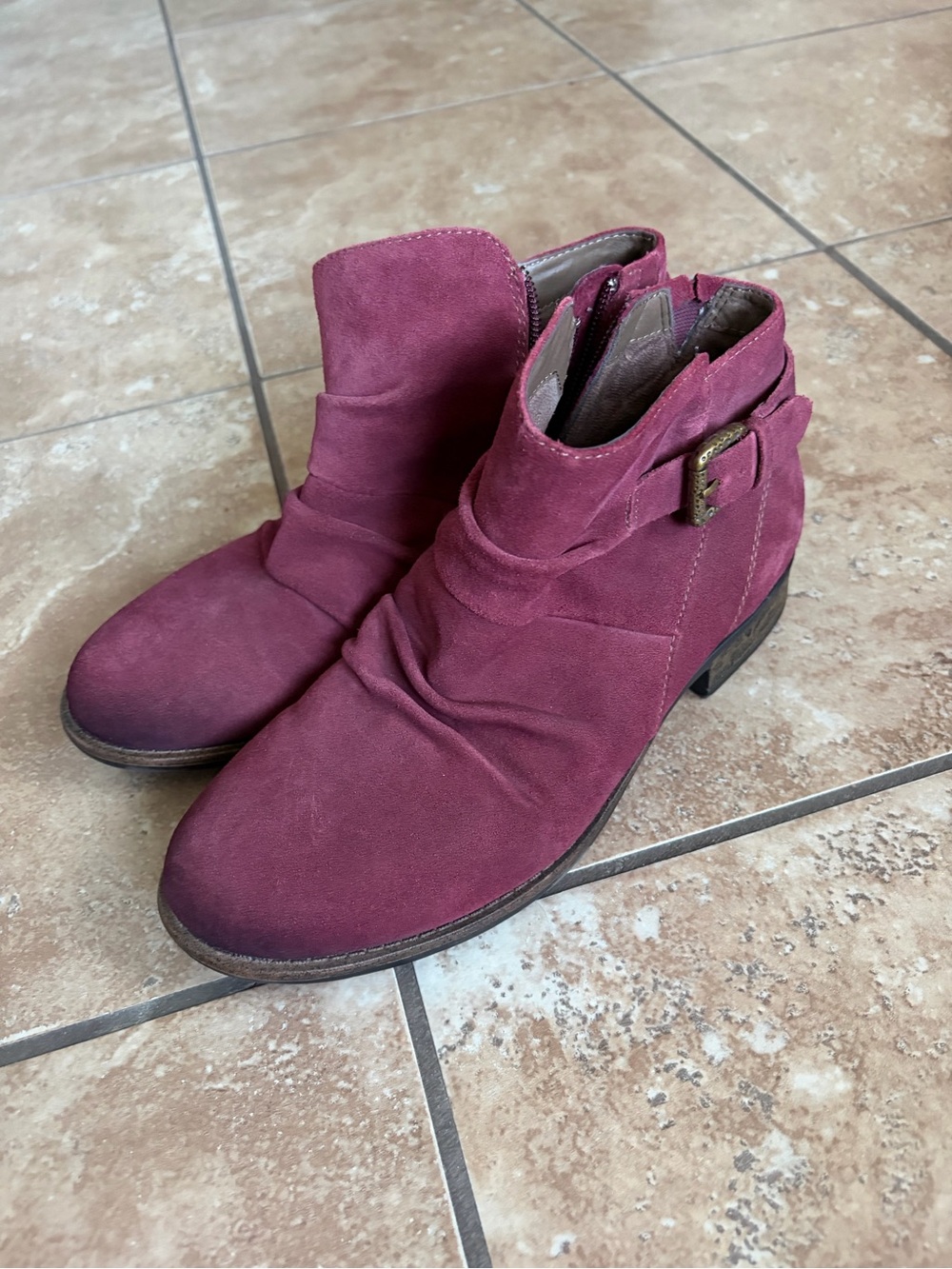 Earth Avani Billings Suede Ankle Boots